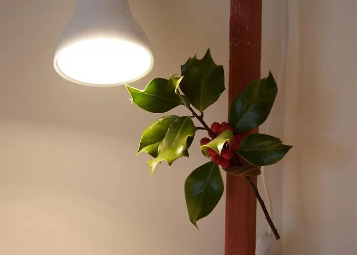 Casa Mariolas Oda ve Kahvaltı Manteigas